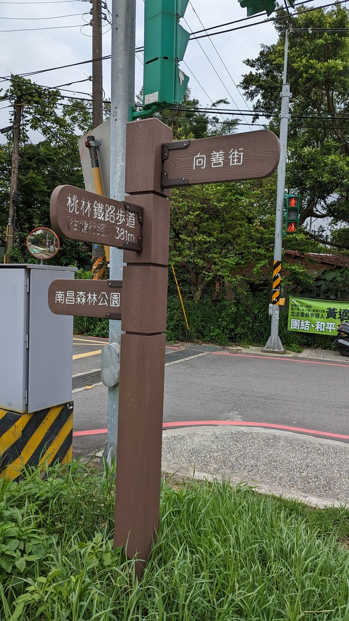 在四月底看五月雪 - 大坑桐花步道 & 桃林鐵路自行車步道一日遊