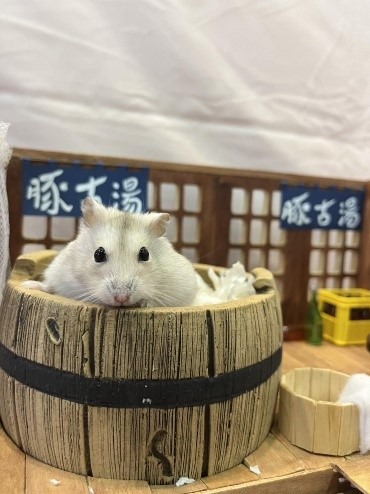 2023展昭高雄寵物展0421~0424