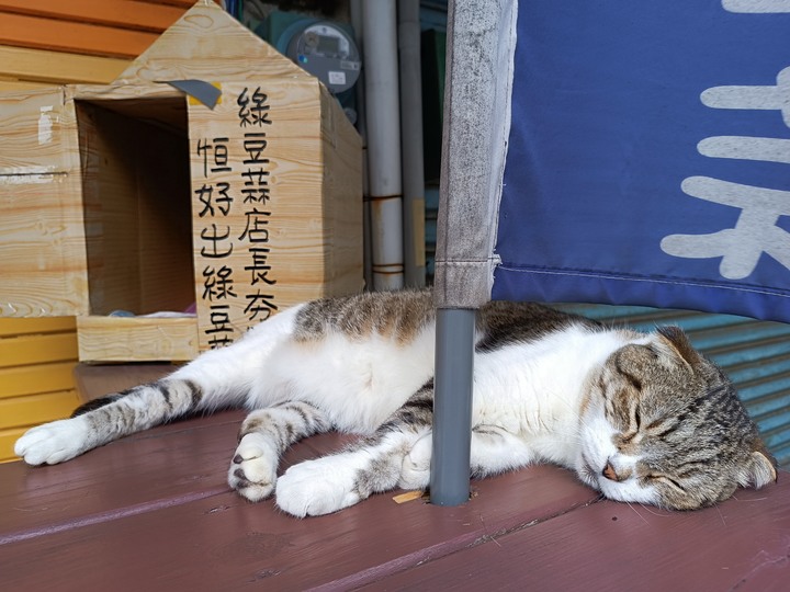 鵝鑾鼻燈塔、社頂公園、恆春城【四座城門、猴洞山、廣寧宮、天后宮、阿嘉的家】，還有特色河豚料理 — 「斯卡羅」場景【1867年羅妹號事件】 — 恆春半島歷史場景旅程之一