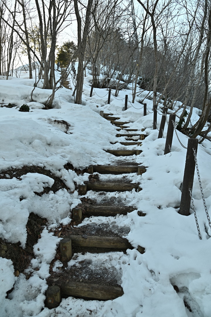 2023 02月 日本東北自駕賞雪遊-藏王、山寺、銀山溫泉、大內宿高倉神社、只見線