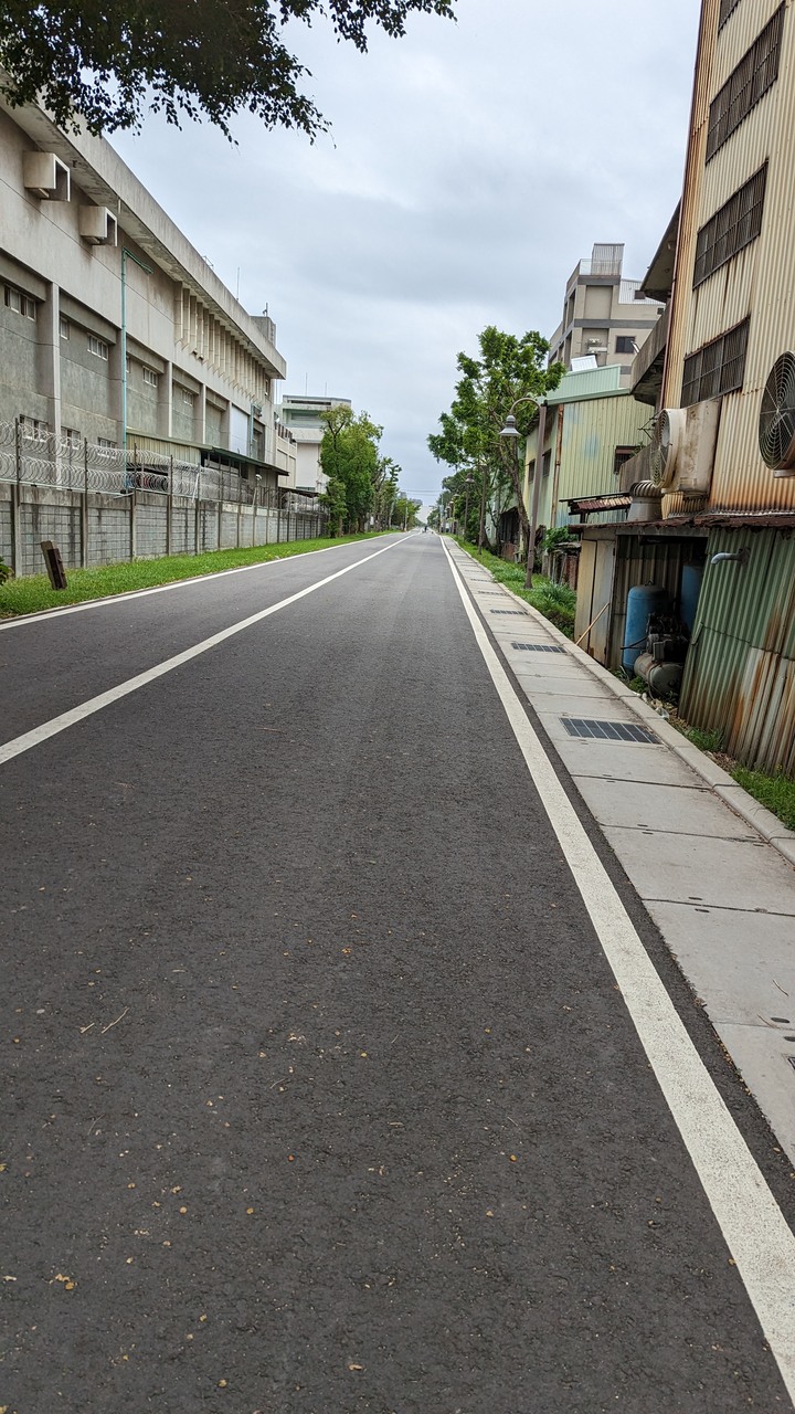 在四月底看五月雪 - 大坑桐花步道 & 桃林鐵路自行車步道一日遊