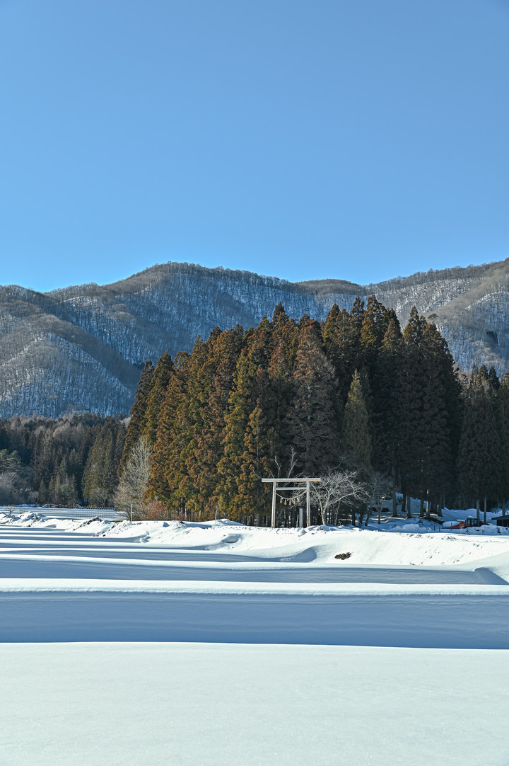 2023 02月 日本東北自駕賞雪遊-藏王、山寺、銀山溫泉、大內宿高倉神社、只見線