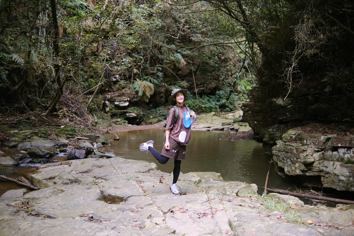 【澀水森林步道】南投魚池鄉秘境 | 有如走入侏儸紀公園場景