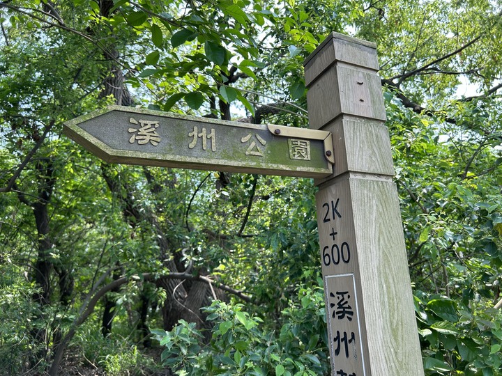 騎 到 溪 州 迓 大 甲 媽
