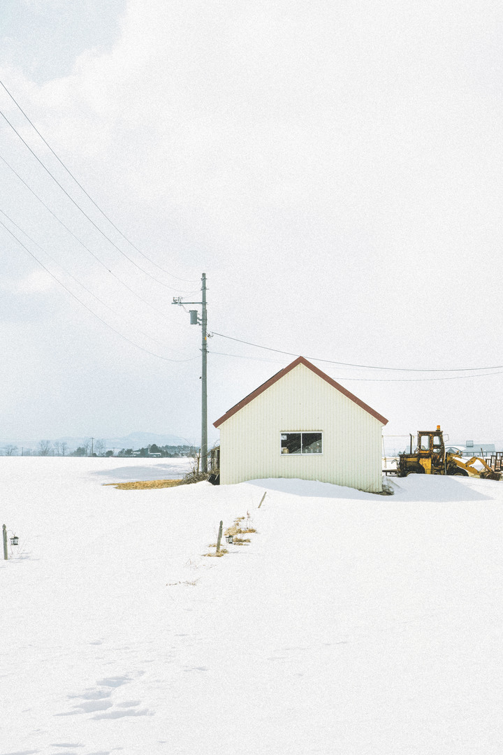 3月的北海道，雪要融不融的跟團行