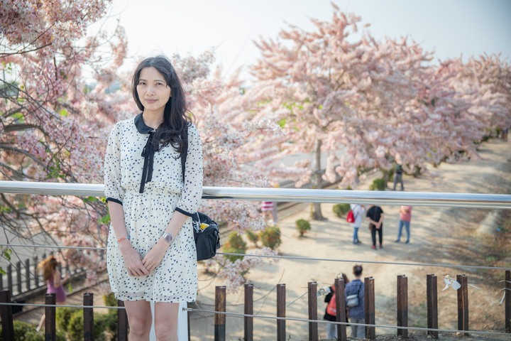 點我看大圖 久違的國華街美食、金砂社區盛開的花旗木、宛如立於海上的「生命之樹」藝術造景