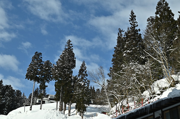 2023 02月 日本東北自駕賞雪遊-藏王、山寺、銀山溫泉、大內宿高倉神社、只見線