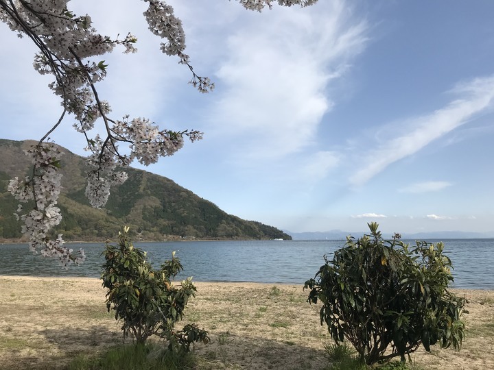日本/香川和關西廣域/1人自由行/8天7夜(Day5)