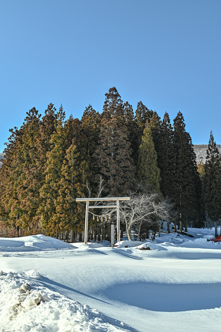2023 02月 日本東北自駕賞雪遊-藏王、山寺、銀山溫泉、大內宿高倉神社、只見線
