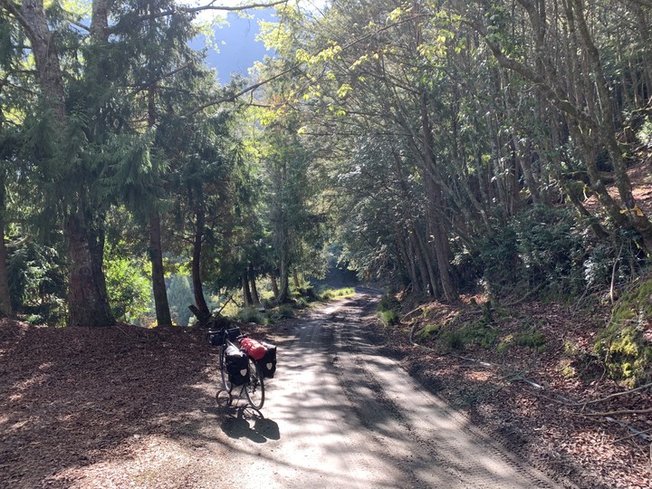 丹大林道六順山bikepacking