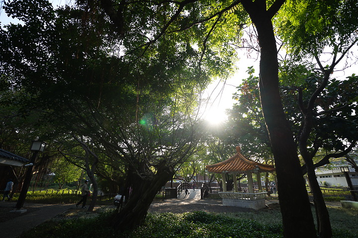 Sigma 17mm f/4 DG DN Contemporary 評測報告｜攝錄通吃 全能超廣角報到！