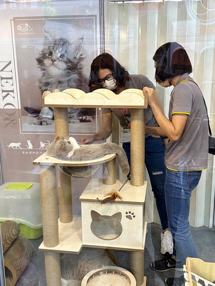 就是要參加展昭寵物展第一天