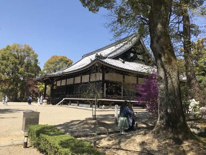日本/香川和關西廣域/1人自由行/8天7夜(Day5)