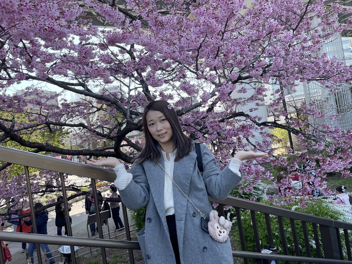 東京到北海道旅遊新選擇❤️