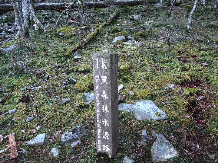 【雪山北峰】一日單攻 | 踏上人生夢想中的聖稜線