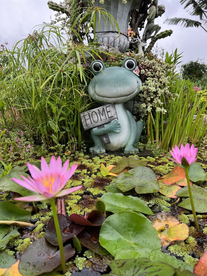 台北一隅 , 清幽古宅 , 花園公園