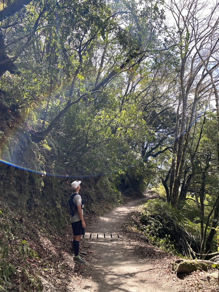 點我看大圖 「瑜伽越野跑」能高主峰 漫遊探訪