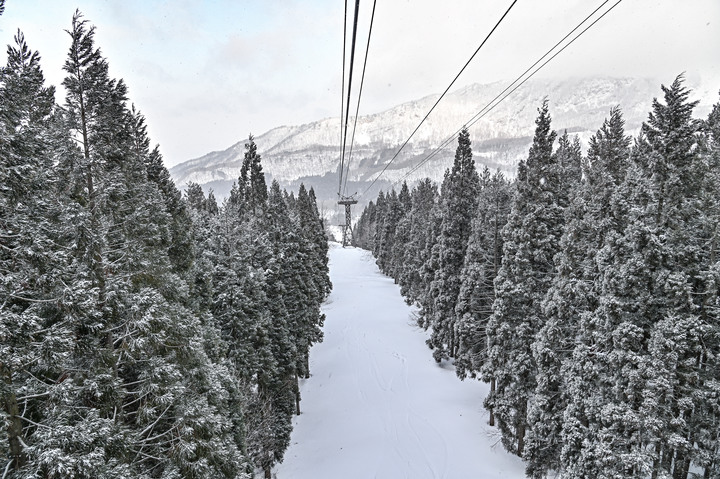 2023 02月 日本東北自駕賞雪遊-藏王、山寺、銀山溫泉、大內宿高倉神社、只見線