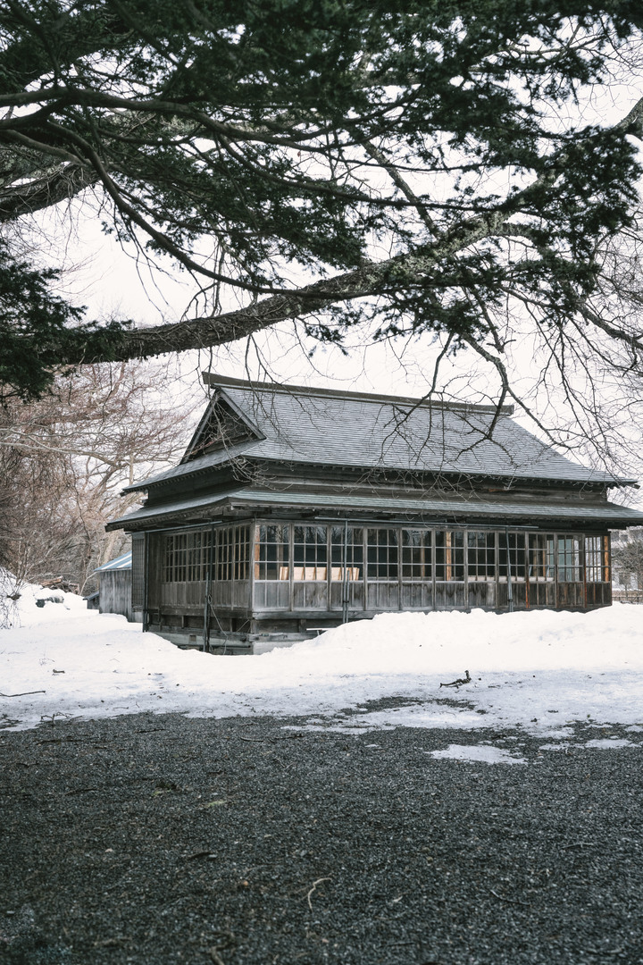 3月的北海道，雪要融不融的跟團行