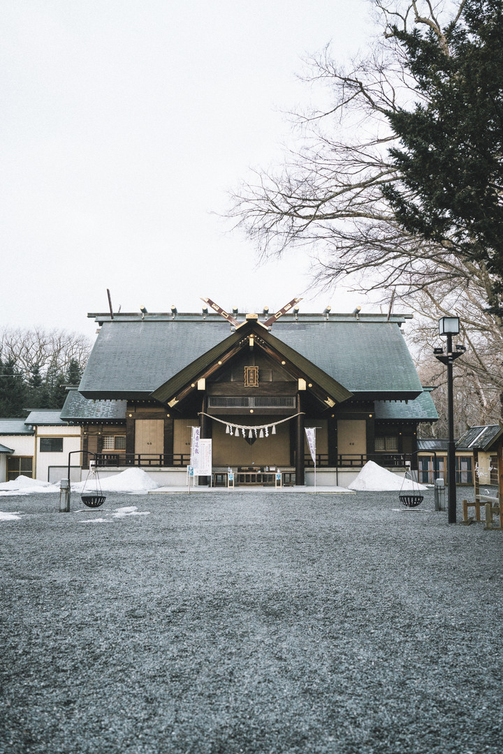 3月的北海道，雪要融不融的跟團行