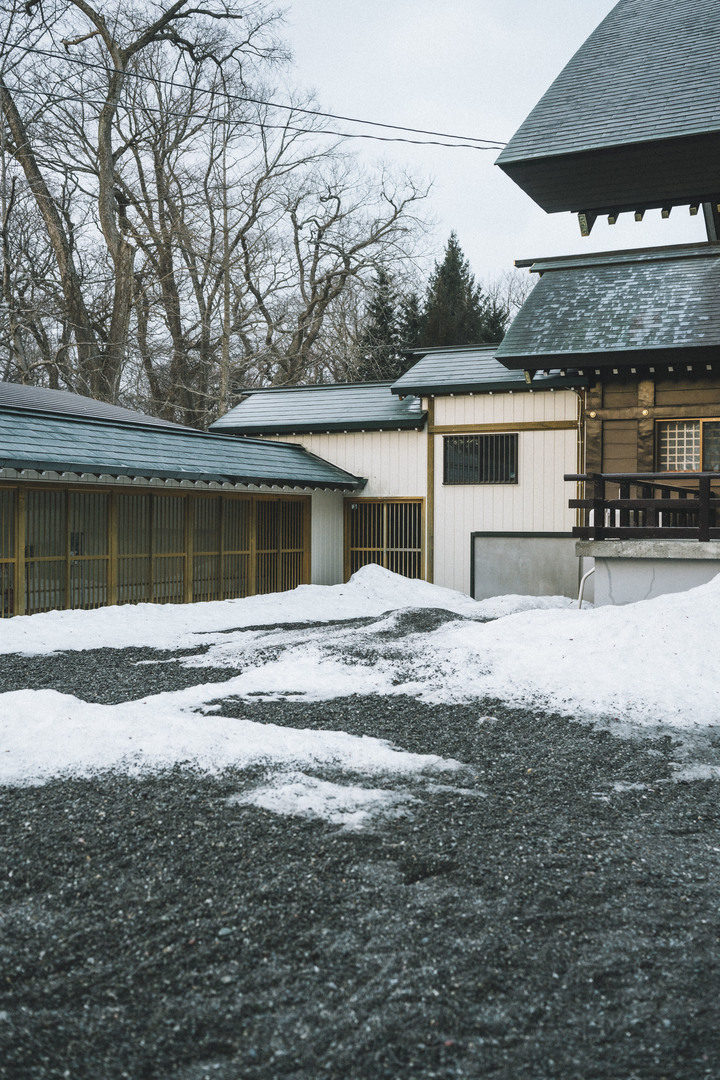 3月的北海道，雪要融不融的跟團行