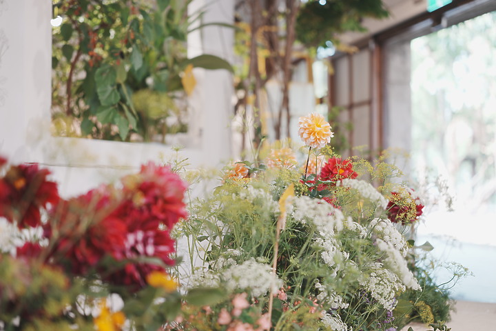 Sigma 50mm f/2 DG DN Contemporary 評測報告｜不讓 Art 專美於前 ‧ I series 力搏上位！