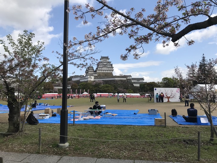 日本/香川和關西廣域/1人自由行/8天7夜(Day3)