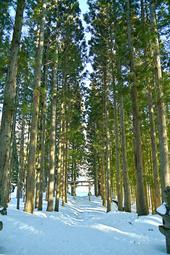 2023 02月 日本東北自駕賞雪遊-藏王、山寺、銀山溫泉、大內宿高倉神社、只見線