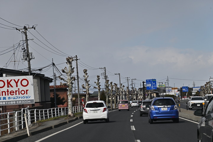 2023 02月 日本東北自駕賞雪遊-藏王、山寺、銀山溫泉、大內宿高倉神社、只見線