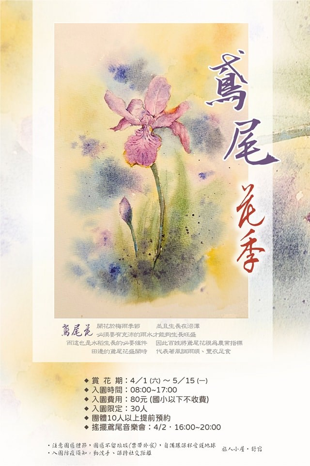 田尾賞花秘境「旅人小屋舒宿」,萬株鳶尾花浪漫無極限!