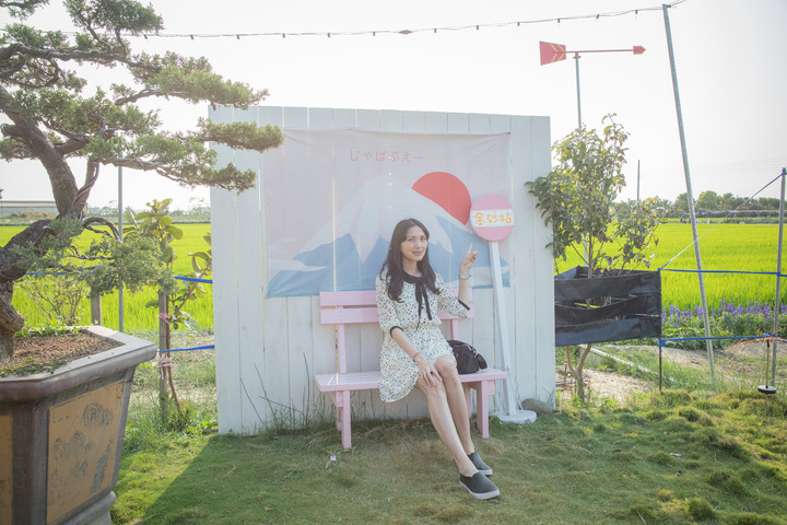 久違的國華街美食、金砂社區盛開的花旗木、宛如立於海上的「生命之樹」藝術造景