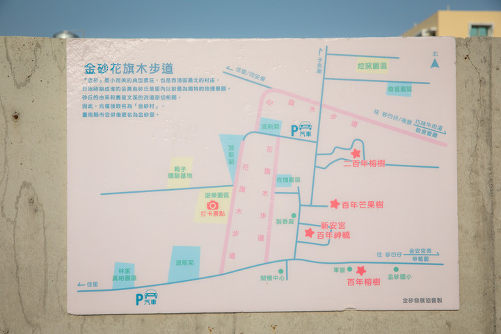 久違的國華街美食、金砂社區盛開的花旗木、宛如立於海上的「生命之樹」藝術造景