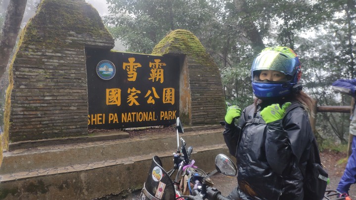 騎士耐森重機旅遊-霧社櫻花花王.萬年峽谷.粉紫菱香木花.長在大石上的榕樹.傾斜寺(太和振興宮).1314觀景台.黃花風鈴木 by Honda X-ADX, GSX-S750, DL650 , SYM Joymax Z300