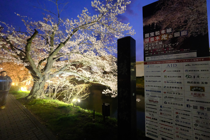 日本自由行！東京賞櫻景點(新宿御苑/中目黑/澀谷櫻丘)、住宿行程分享！