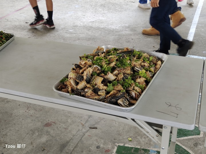 臨界邊際（二）－－原民樂舞祭典與陶醉浪人~邹仔