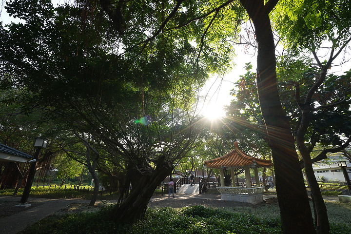 Sigma 17mm f/4 DG DN Contemporary 評測報告｜攝錄通吃 全能超廣角報到！