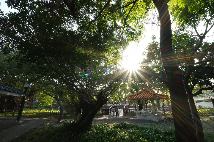Sigma 17mm f/4 DG DN Contemporary 評測報告｜攝錄通吃 全能超廣角報到！