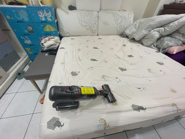 Dyson +好事多抹布+迪卡儂護膝 VS 小狗吸塵器