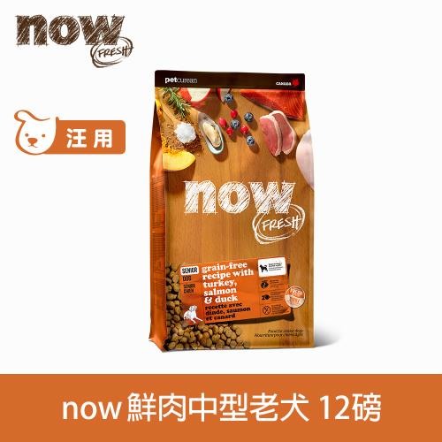 牙齒和腸胃退化高齡犬3款飼料心得分享