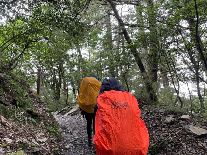 【台灣百岳】雨天登奇萊南峰可以嗎？ 初心者爬百岳首選之一！