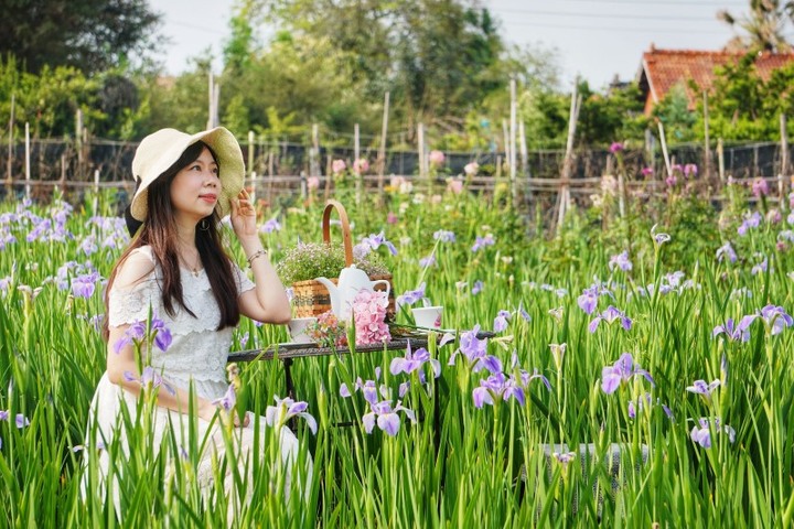 田尾賞花秘境「旅人小屋舒宿」,萬株鳶尾花浪漫無極限!