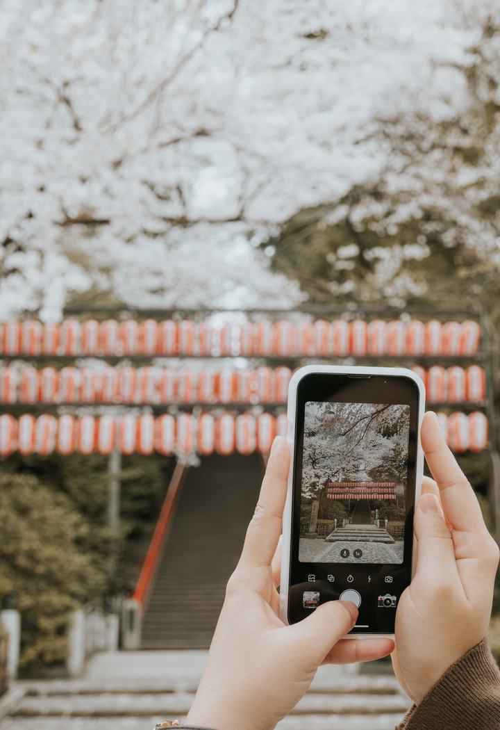 日本櫻花季｜東京、東北宮城一目千本櫻【Nikon Zfc】