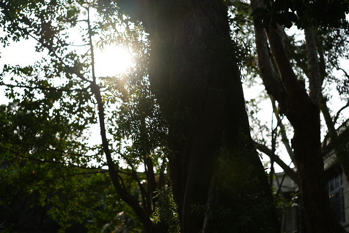 Sigma 50mm f/2 DG DN Contemporary 評測報告｜不讓 Art 專美於前 ‧ I series 力搏上位！