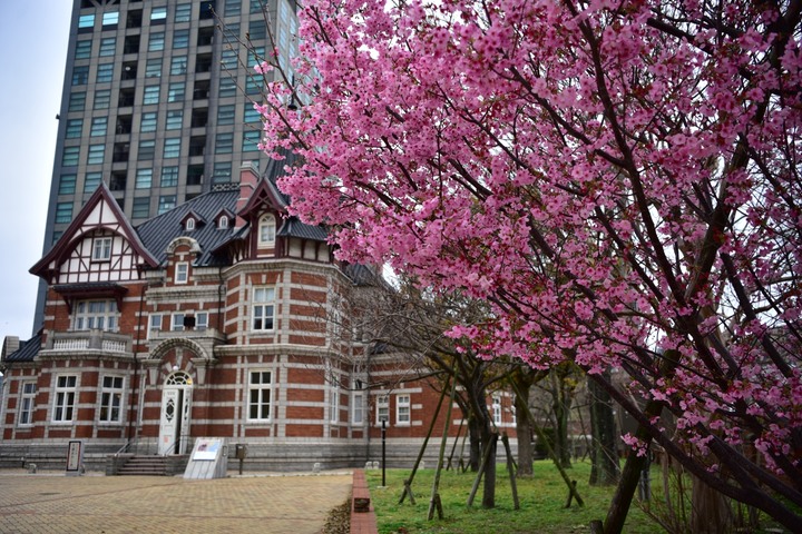 日本北九州旅遊(跟團隨拍)