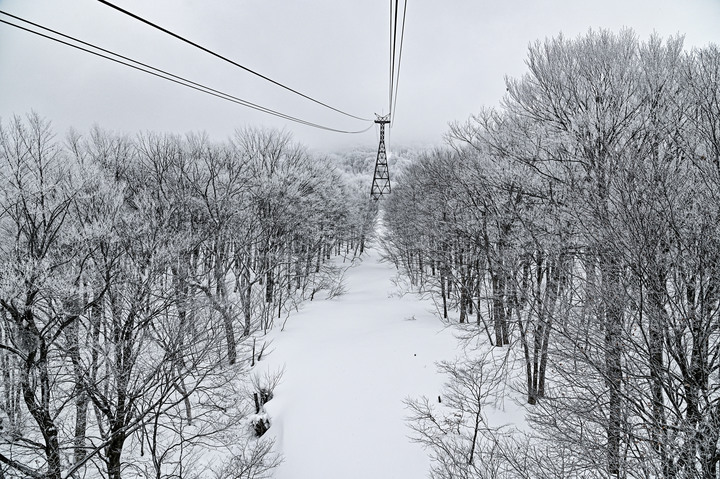 2023 02月 日本東北自駕賞雪遊-藏王、山寺、銀山溫泉、大內宿高倉神社、只見線