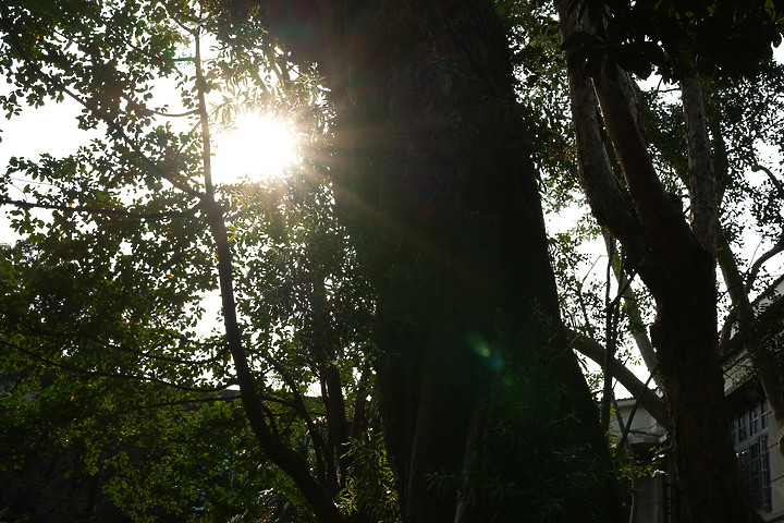 Sigma 50mm f/2 DG DN Contemporary 評測報告｜不讓 Art 專美於前 ‧ I series 力搏上位！