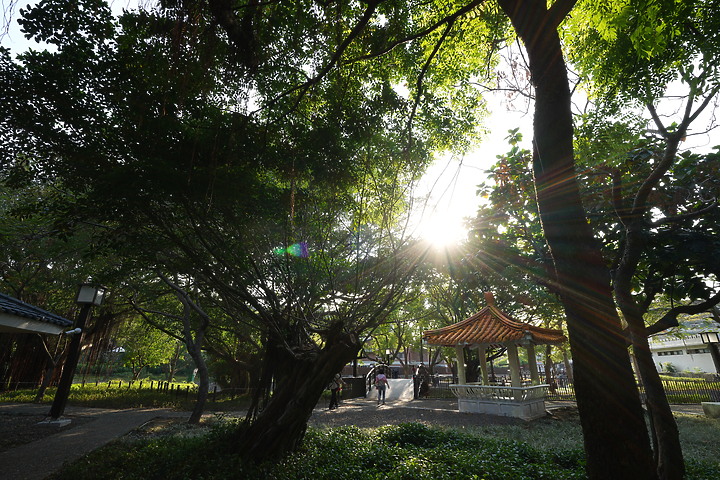 Sigma 17mm f/4 DG DN Contemporary 評測報告｜攝錄通吃 全能超廣角報到！