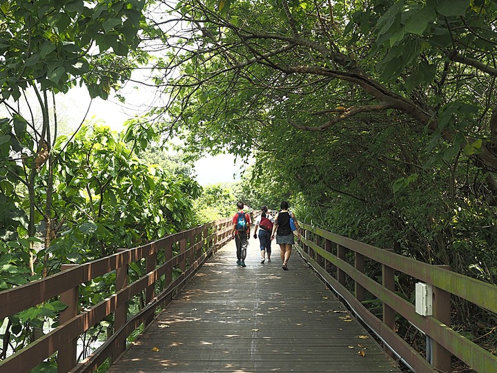 北投 中心新村與舊雙溪河步道 — 全臺唯一溫泉軍醫系統眷村，附掛市區內大片青翠稻田