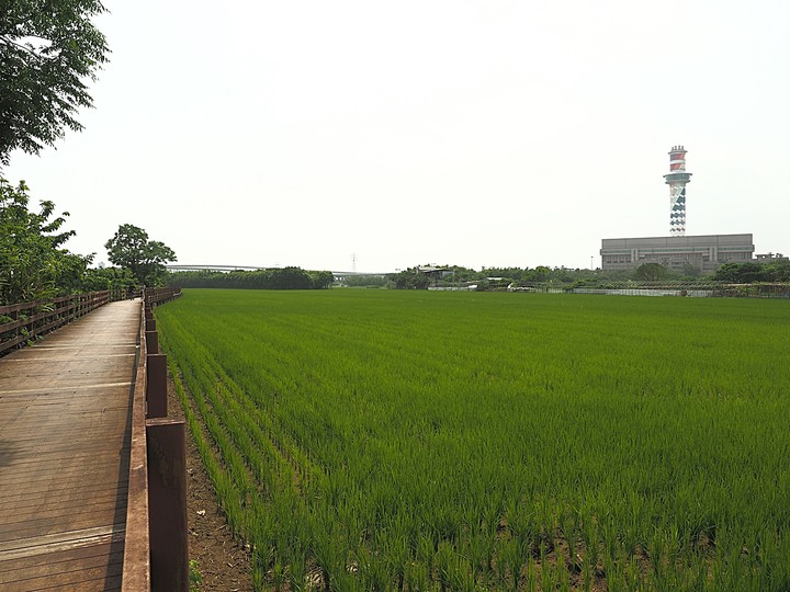 北投 中心新村與舊雙溪河步道 — 全臺唯一溫泉軍醫系統眷村，附掛市區內大片青翠稻田