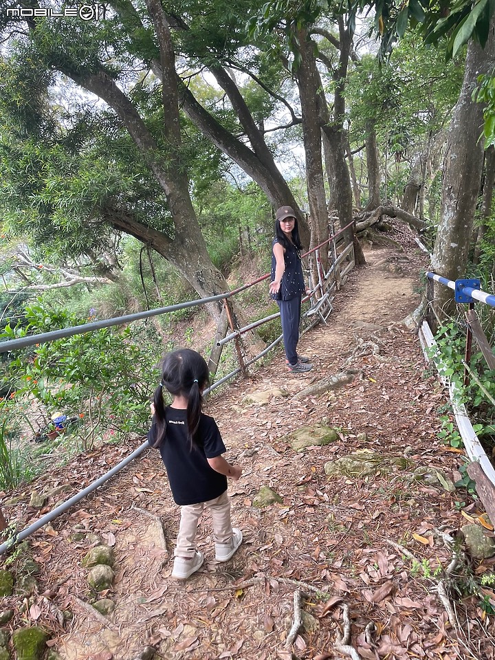 點我看大圖 親子小百岳|#042南觀音山:彌勒皇教能量聖地,駕車迷路一秒登頂